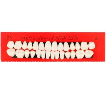 1 комплект от 28 бр Модел на зъба Модел постоянни зъби Демонстрационен модел на зъбите на Aicc подпори за зъби от смола Модел на човешки зъби - Изображение 1  