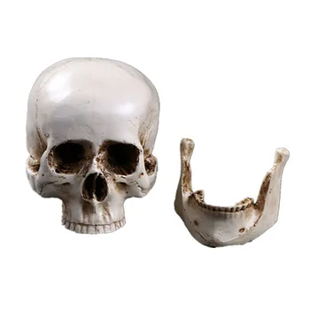 Медицински модел на черепа на Aicc скица на Човешки Череп Занаяти, изработени от смола Декорация на дома, Статуя, Скулптура Подарък за Хелоуин - Изображение 1  