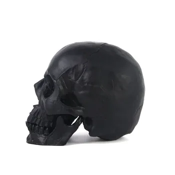 Медицински модел на черепа на Aicc скица на Човешки Череп Занаяти, изработени от смола Декорация на дома, Статуя, Скулптура Подарък за Хелоуин - Изображение 2  