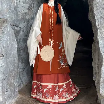 Дамска жилетка с висока яка китайската династия Мин Hanfu, е дълга риза, пола с бродирани конете муцуна, есен и зима - Изображение 1  