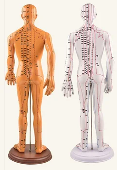 Акупунктура Модел на човешкото тяло Наръчник Ръка на Цялото Тяло Медицински Женски Манекен - Изображение 1  
