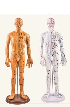 Акупунктура Модел на човешкото тяло Наръчник Ръка на Цялото Тяло Медицински Женски Манекен - Изображение 2  