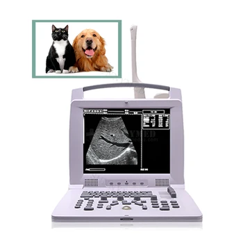 САЙ-A005, използвани във ветеринарната 12-инчов изцяло цифров портативен черно-бял ултразвуков скенер на конкурентни цени - Изображение 1  