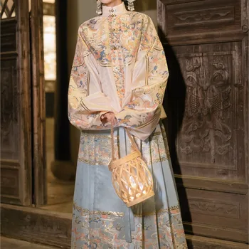 Планк с яка-часова брокат на династията Мин, къса яке, имитация на грим, пола с цветен модел конски муцуни - Изображение 1  